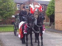 Horse drawn Carriage Hire   Disley 1084509 Image 2